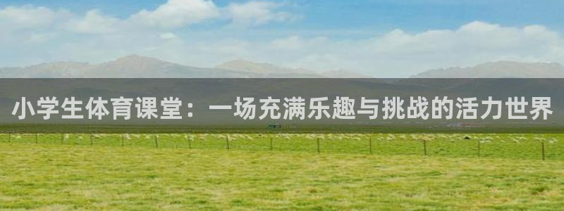 三亿体育网