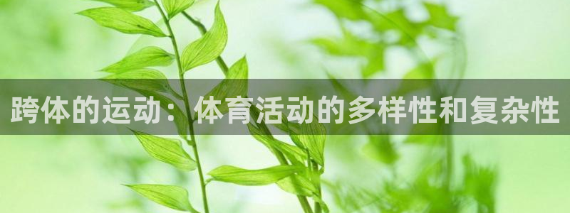 三亿体育网页版