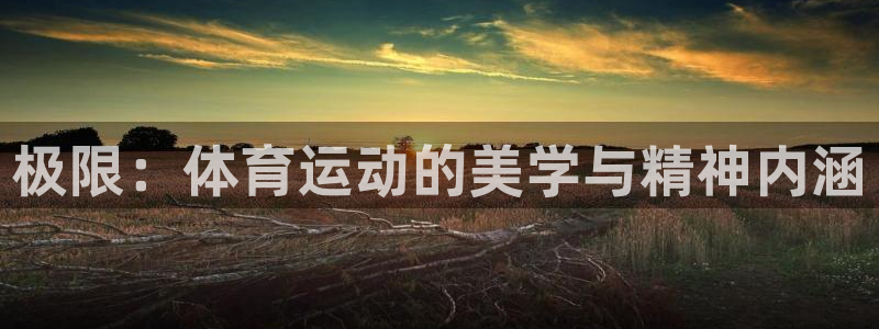三亿体育网页版