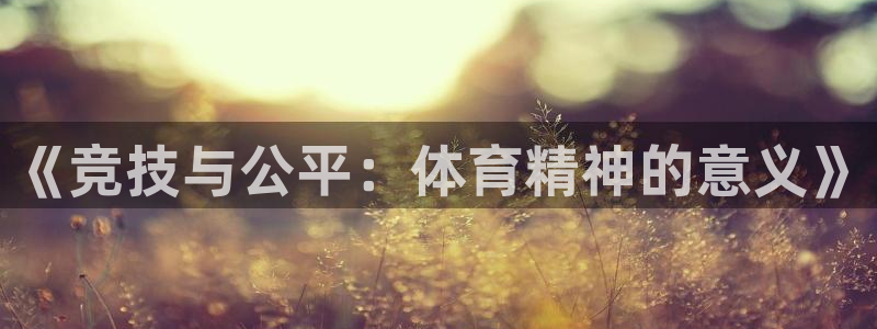 三亿体育网