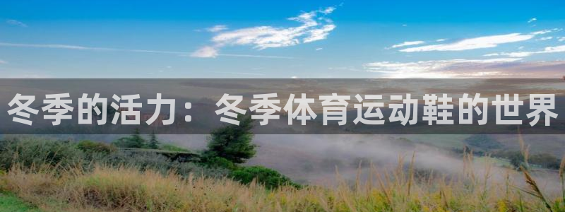 三亿体育