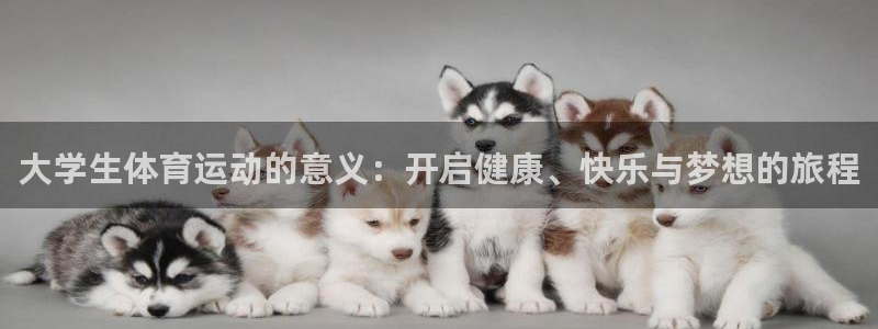 三亿体育登录