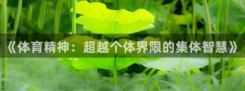 三亿体育