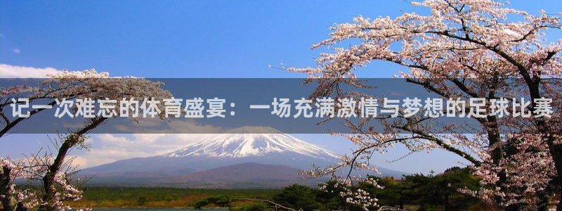 三亿体育网页版