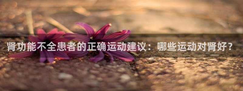 三亿体育网