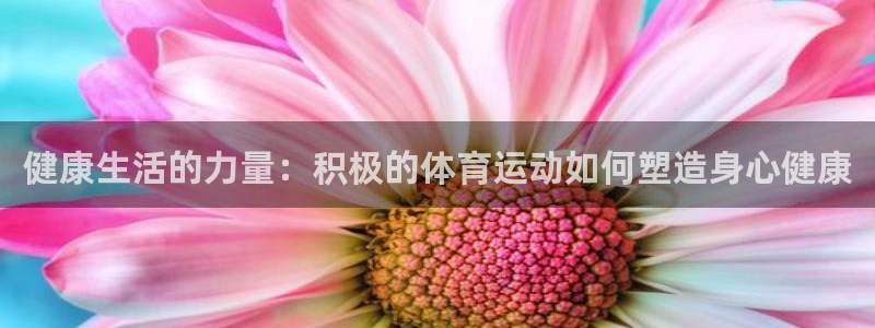 三亿体育网