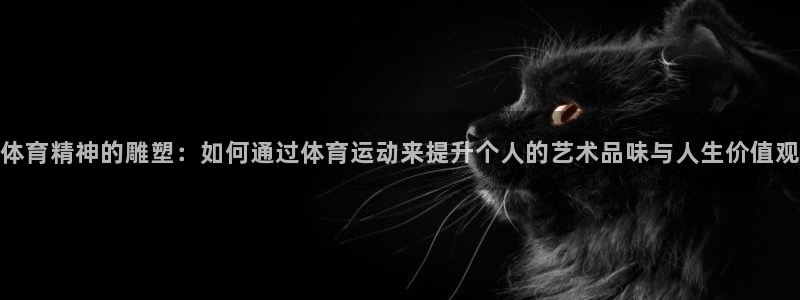 三亿体育