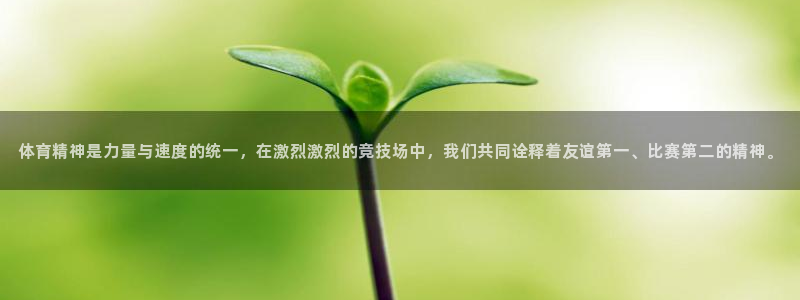 三亿体育网页版