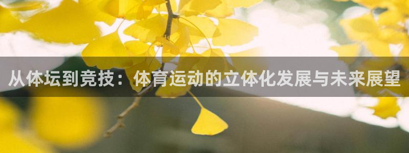 三亿体育网页版