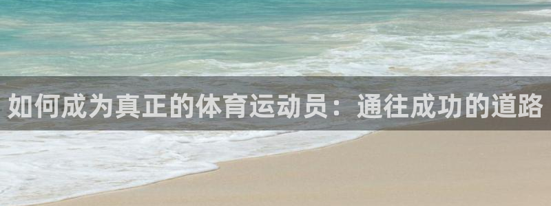 三亿体育登录