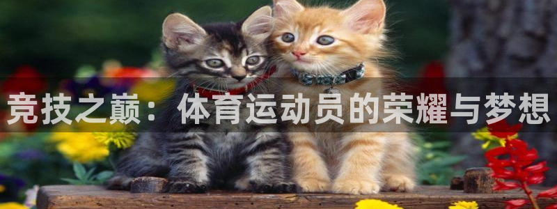 三亿体育
