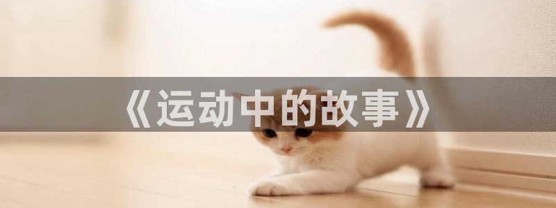 三亿体育登录